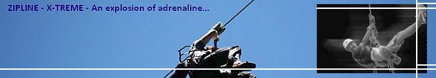 An explosion of adrenaline! Yes, the name Adrenaline could not be more appropriate.